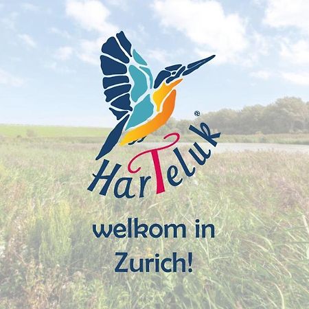 Harteluk Afsluitdijk Zurich酒店 外观 照片